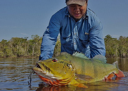 POR QUE USAR ROUPAS DE PESCA BALLYHOO?
